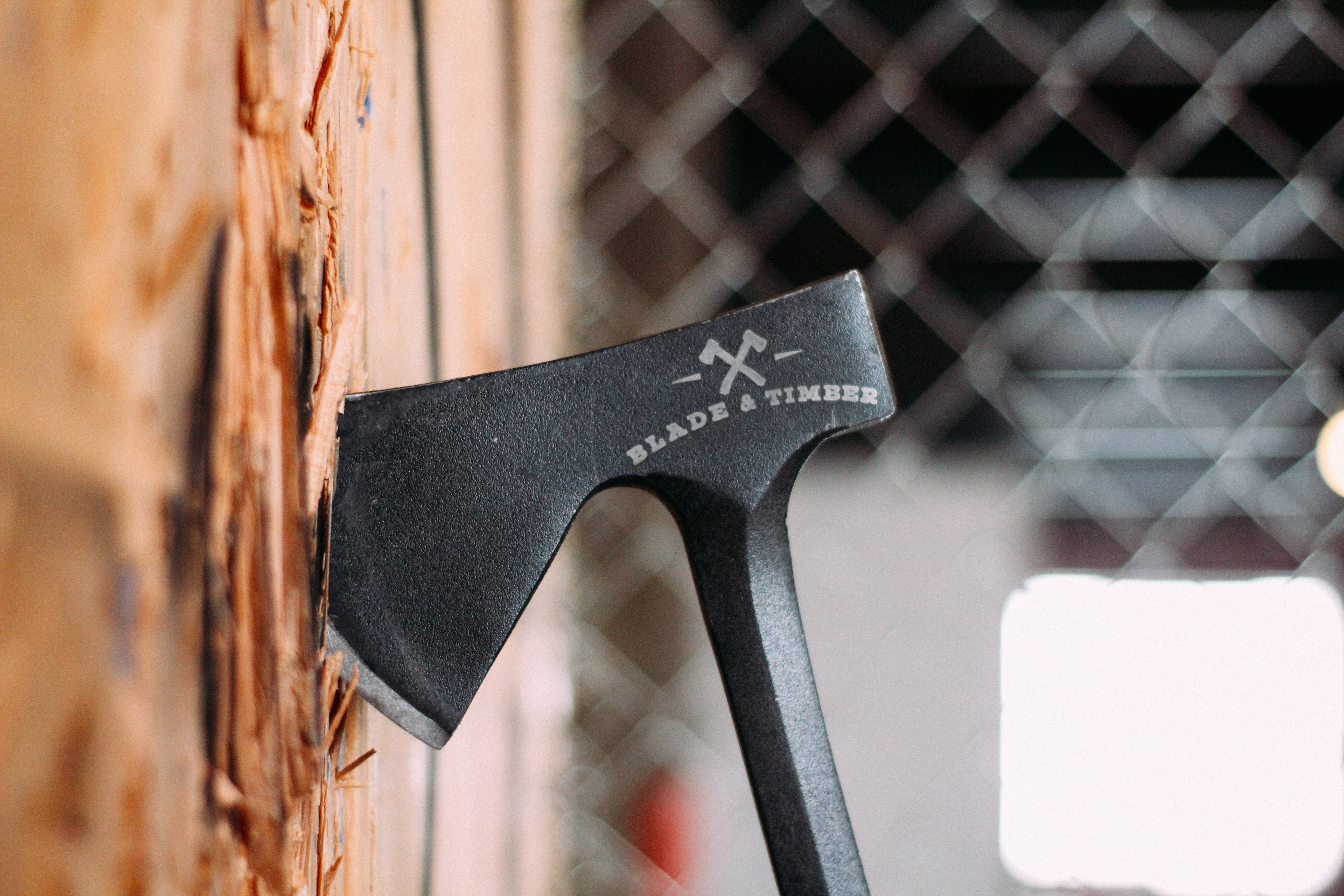 Blade and Timber - Axe in target