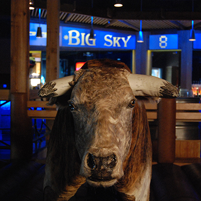 PBR Big Sky - Bull