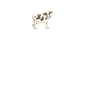 The Yard Milkshake Bar Opening Spring 2025